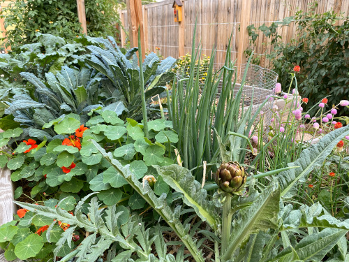 Colorado Kitchen Gardens